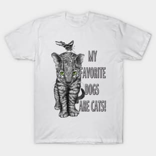 My Favorite Dogs are Cats T-Shirt